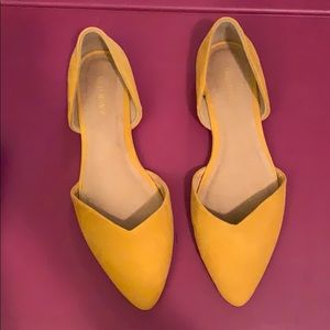 NWT Ballet Flats- Pointed Toe